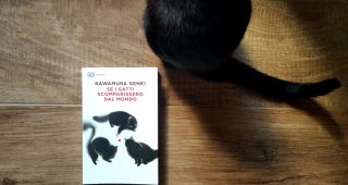 Se I Gatti Scomparissero Dal Mondo