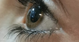 Dal genoma allo sguardo: La variabilità del colore degli occhi nel Volterra