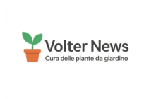 Volter News