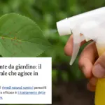 Acari sulle piante da giardino: il rimedio naturale che agisce in profondità