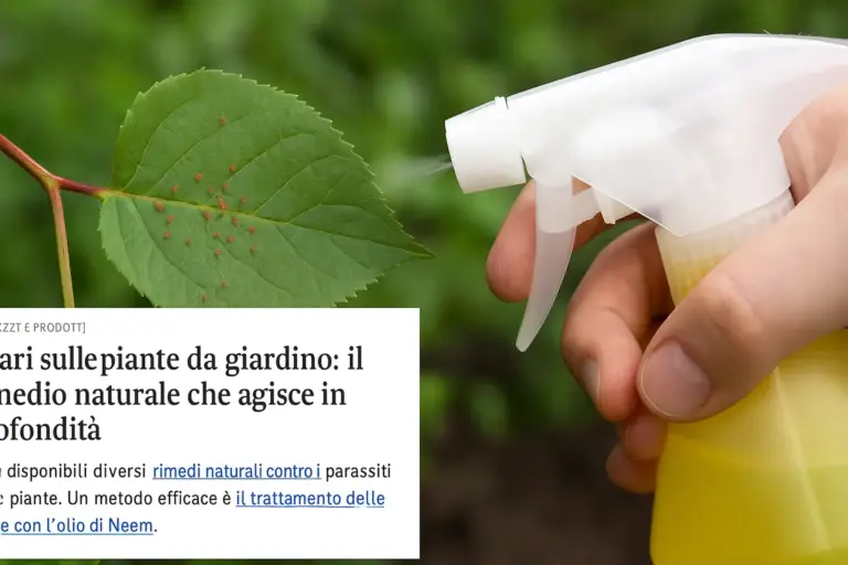 Acari sulle piante da giardino: il rimedio naturale che agisce in profondità