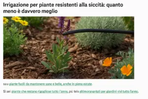 Irrigazione per piante resistenti alla siccità: quanto meno è davvero meglio