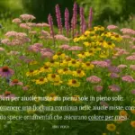 Fiori perenni per aiuole miste in pieno sole: quelli che colmano i vuoti stagionali