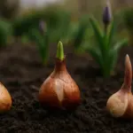 Bulbi da fiore che non sbocciano: cosa correggi nel terreno prima di tutto