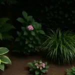 Angoli bui in giardino: le piante che crescono rigogliose senza luce diretta
