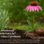 Quali piante ornamentali attraggono meno lumache? la scelta che riduce il problema