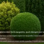Cespugli sempreverdi facili da gestire: quali scegliere per non potare ogni stagione