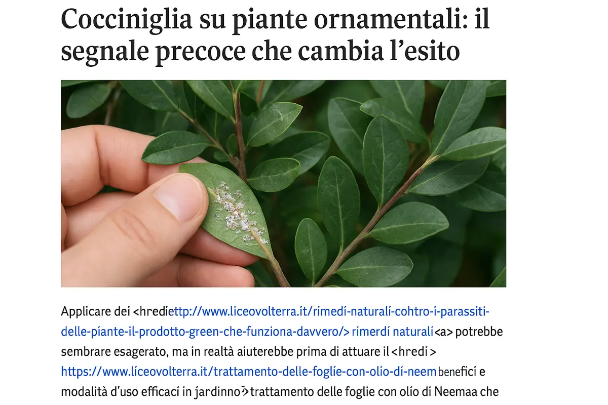 Cocciniglia su piante ornamentali: il segnale precoce che cambia l’esito