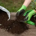 Mescolare terriccio universale e per acidofile: quando conviene farlo davvero