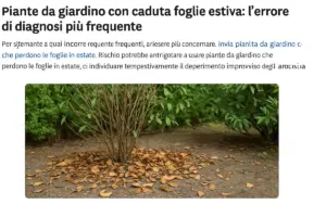 Piante da giardino con caduta foglie estiva: l’errore di diagnosi più frequente