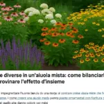 Altezze diverse in un’aiuola mista: come bilanciarle senza rovinare l’effetto d’insieme