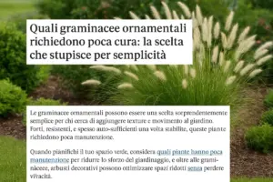 Quali graminacee ornamentali richiedono poca cura: la scelta che stupisce per semplicità