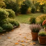 Le piante che soffrono in autunno si decidono adesso: ecco da dove iniziare