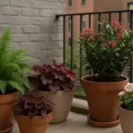 Balcone a nord senza sole diretto: ecco quali piante reggono davvero