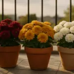 Foglie gialle e fiori che cadono: ecco da cosa dipende
